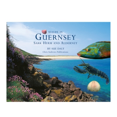 Sealife in Guernsey, Sark, Herm & Alderney